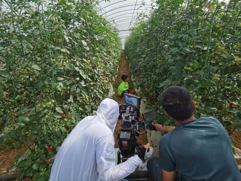 兴宾区产品宣传视频拍摄公司进阶指南，助力品牌抢占传播高地